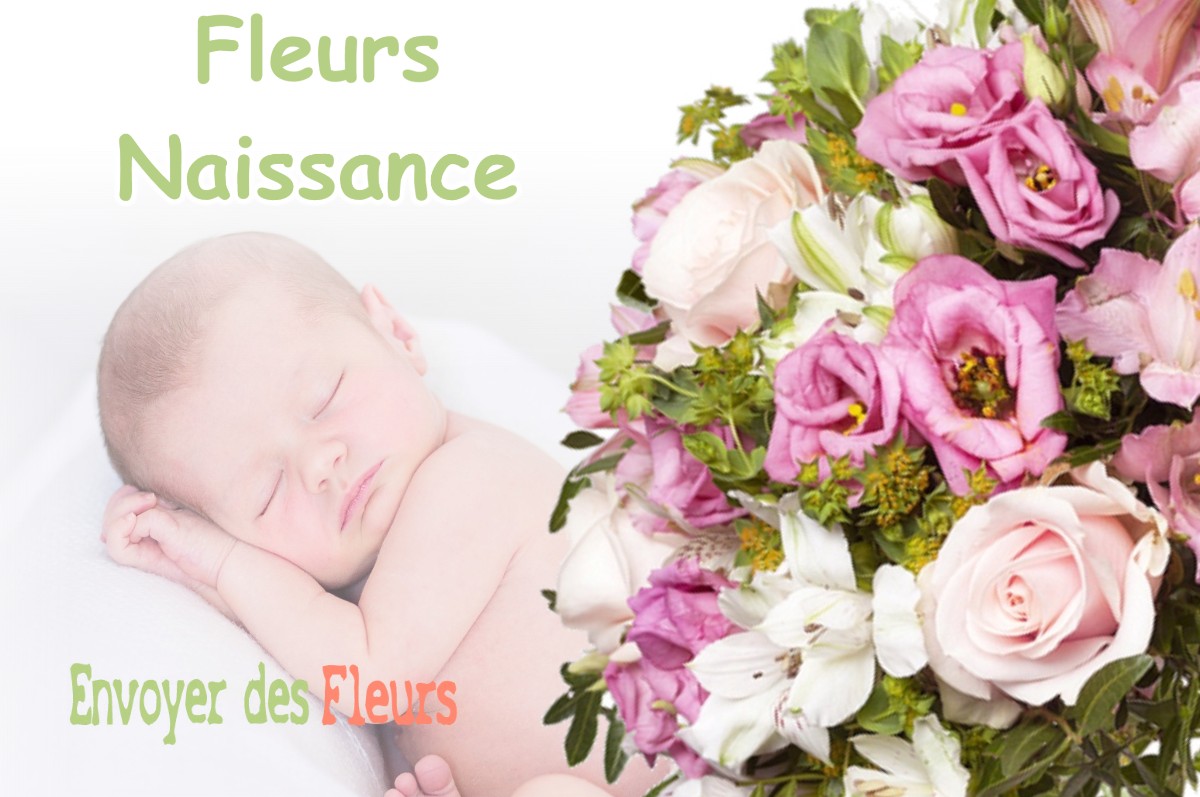 lIVRAISON FLEURS NAISSANCE à BRESSON